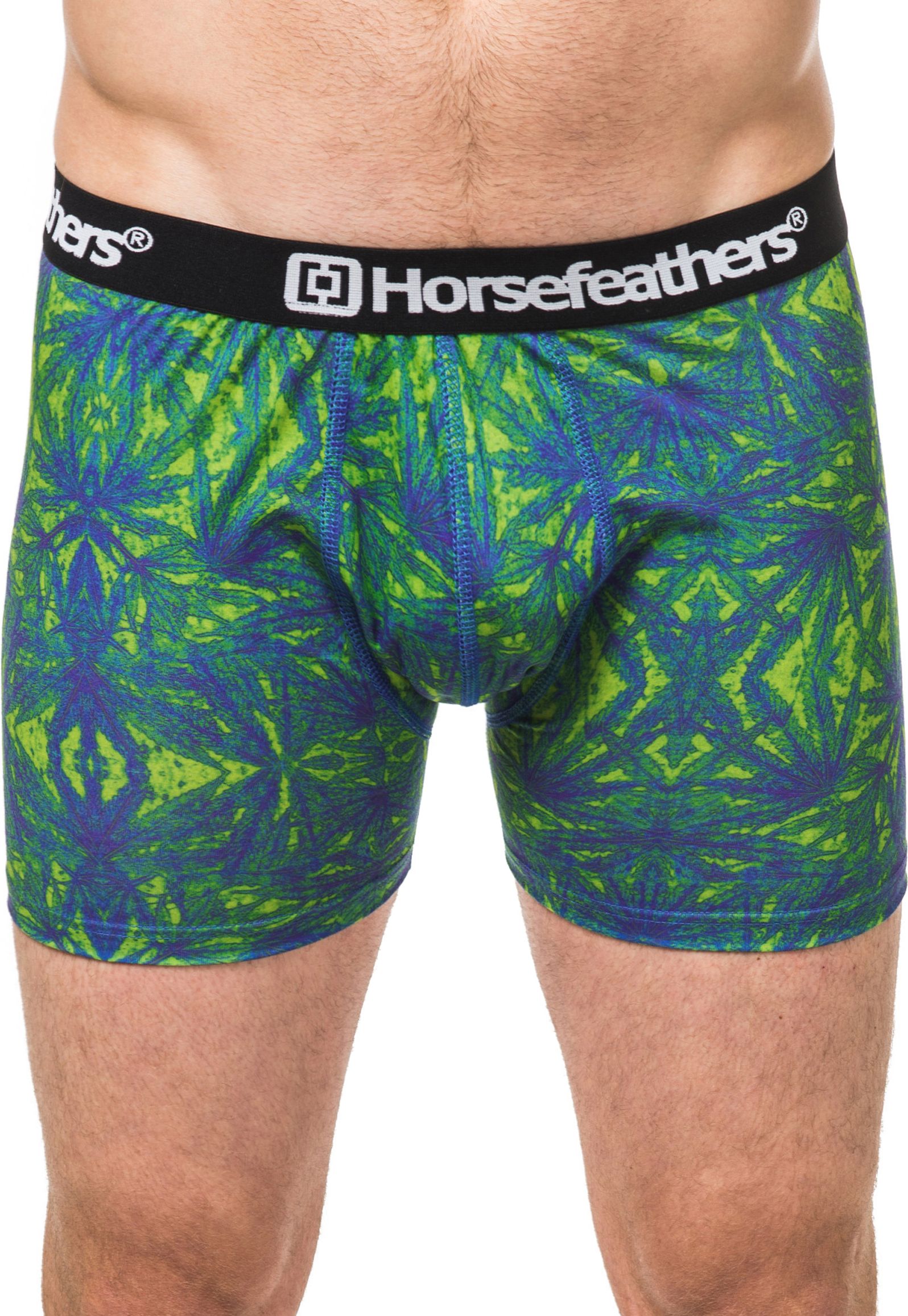 pánske trenírky HORSEFEATHERS SIDNEY BOXER SHORTS (leafs)